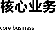 核心业务